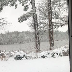 Meet your Posher, Afshan